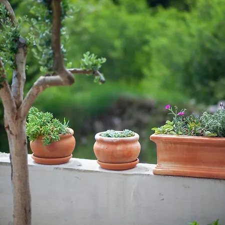 Holiday home House Biokovo