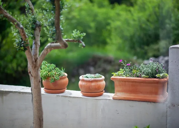 Будинок відпочинку House Biokovo