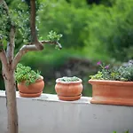 Holiday home House Biokovo